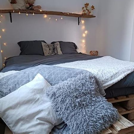 Apartamento T2 Ultra Cosy En Hypercentre Tarare Exterior foto